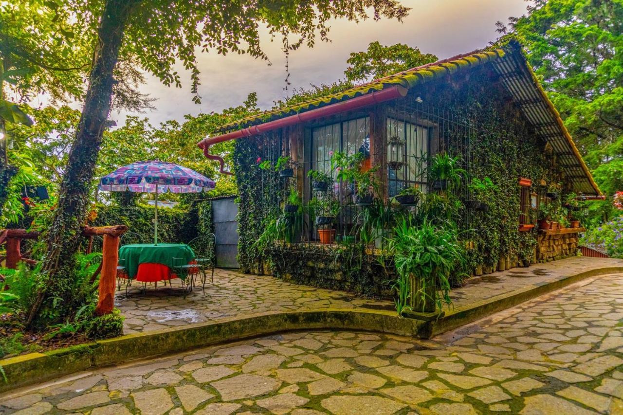 Los Naranjos Town Houses Bagian luar foto