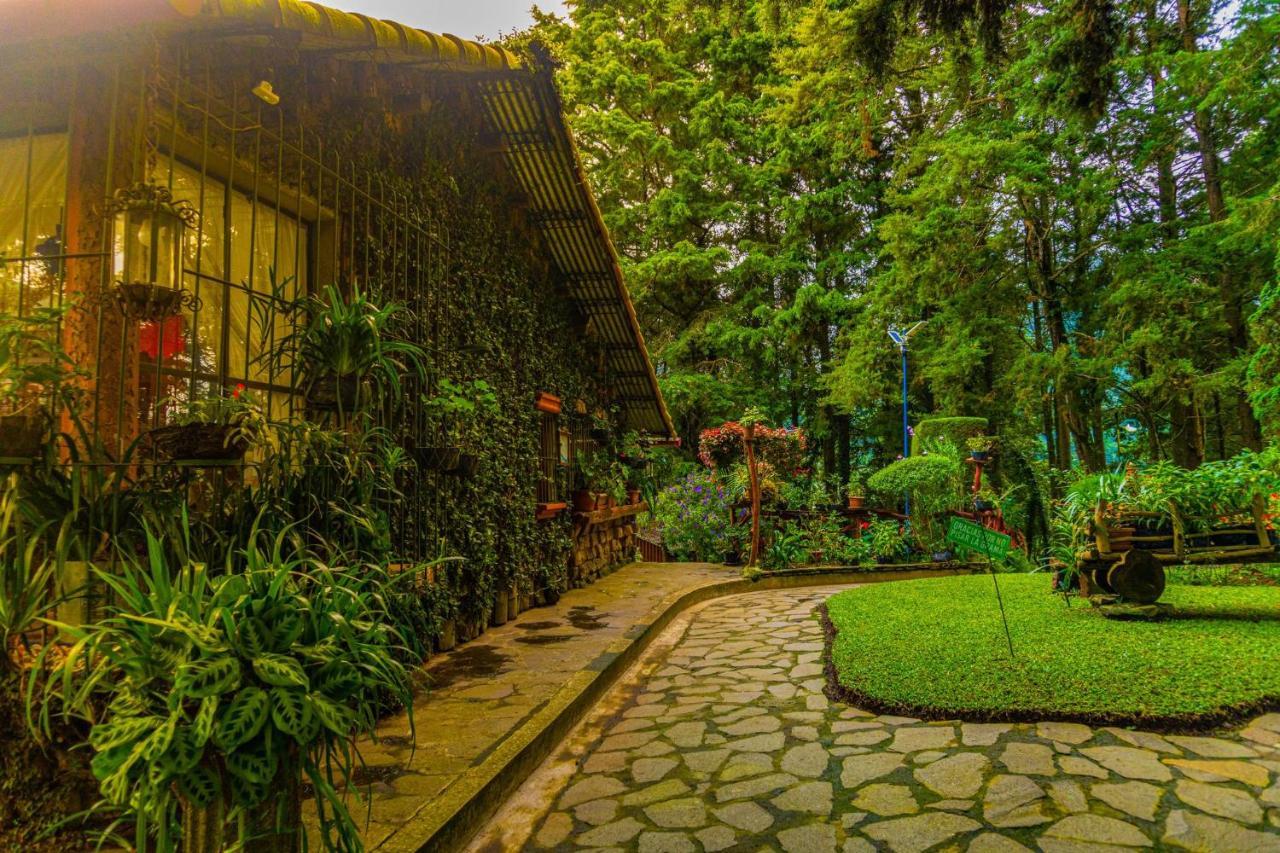Los Naranjos Town Houses Bagian luar foto