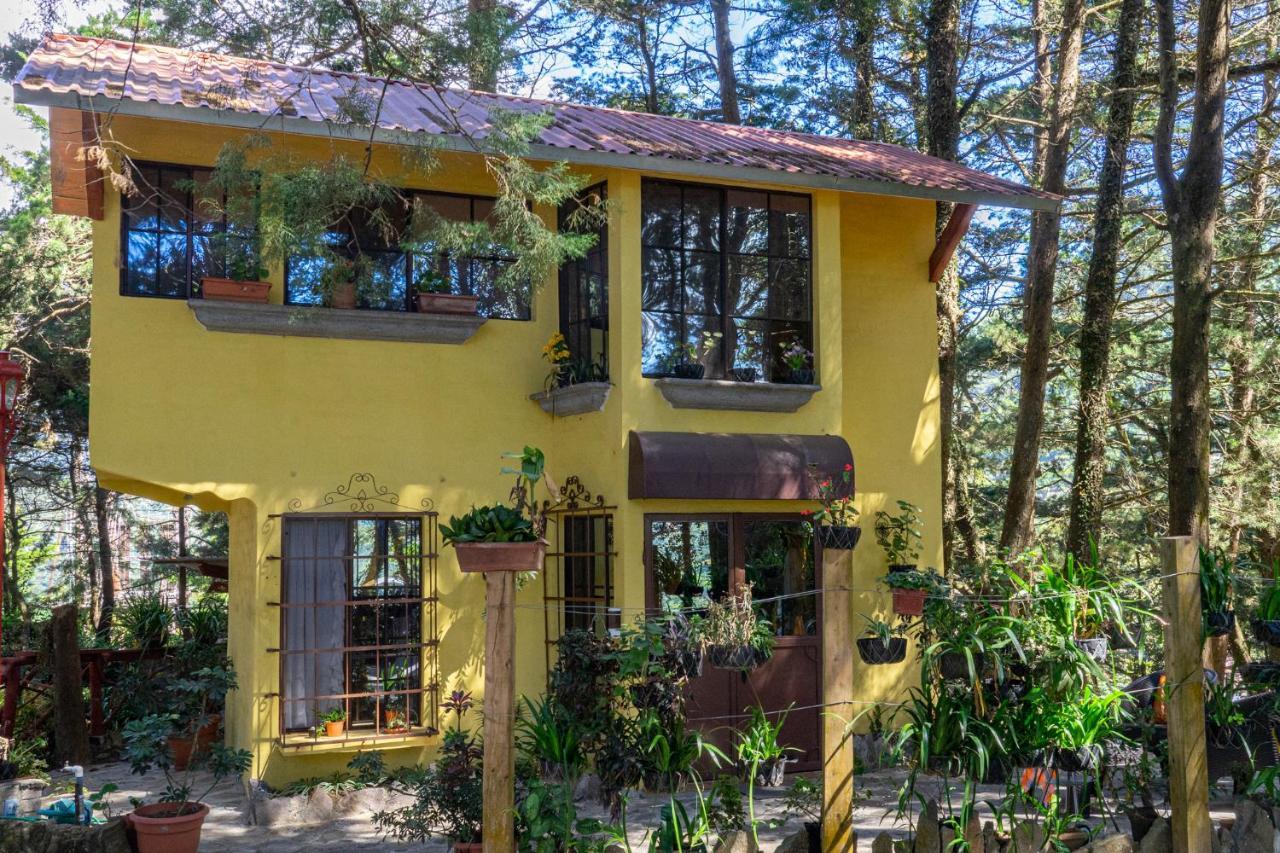 Los Naranjos Town Houses Bagian luar foto